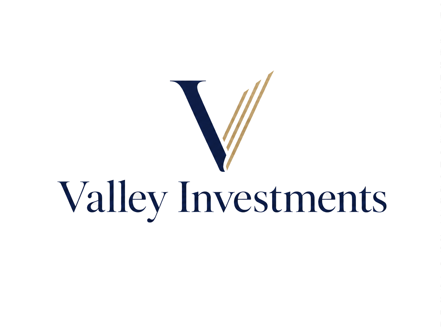 Valley Investments Group